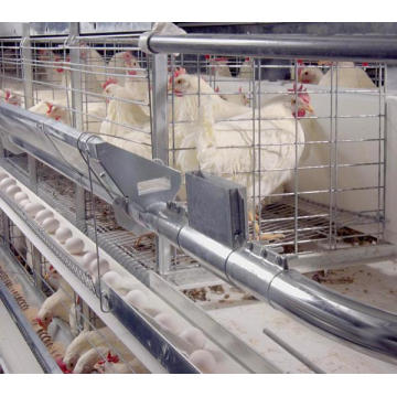 Cage de poulet de batterie de couche de vente chaude pour l&#39;oeuf